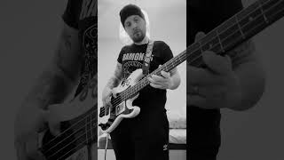 Bass training  RHCP  californication rhcp californication bass squier [upl. by Leff]