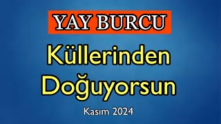 Yay Burcu Kasım 2024 Burç Yorumları [upl. by Naus]