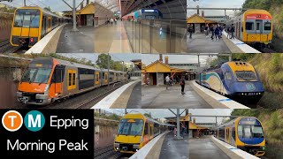 Transport for Sydney Vlog 695 Epping Part 4  Morning Peak Trains [upl. by Tedmund]