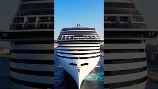 The World’s Most Luxurious Cruise Ship [upl. by Fotzsyzrk]