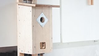 Building a Birdhouse  Things to Consider [upl. by Alyose]