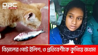 বিড়ালে মাছ খাওয়া নিয়ে তুলকালাম বরিশালে  DBC NEWS Special [upl. by Eisse411]