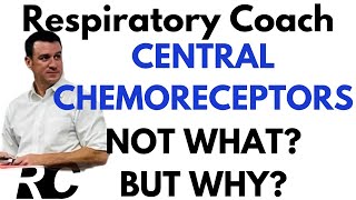 Respiratory Therapy  Central Chemoreceptors [upl. by Anabel]