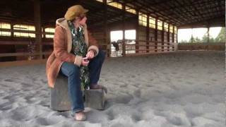 EquineAssisted Therapy and Trauma Informed Care [upl. by Aremihc]