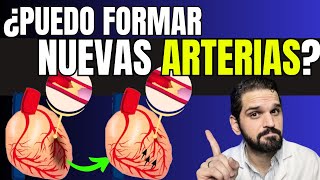 ¿Arterias ENFERMAS El SECRETO de la circulación COLATERAL ✅💯 [upl. by Peltz534]