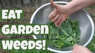 Eat Garden Weeds Howto Tips [upl. by Heyman]