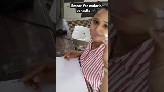 smear preparation ❤️pathology art mp paramedical music remix [upl. by Nalani]