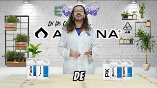 En las entrañas de Athena Ep4 Gama Blended Bloom  PK [upl. by Niveg]