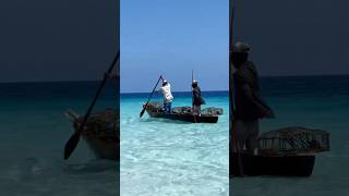 Fishing life in Zanzibar africatravels africanhustle youtubeshorts beautiful beach moreviews [upl. by Annagroeg]