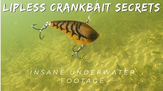 Lipless Crankbait fishing  Insane Underwater Footage [upl. by Undry637]