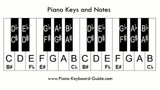 EP6 Accidentals  FLATS  SHARPS  NATURALS IN MUSIC LESSON BY SIR MARTINS movie musicalnotes [upl. by Beaver]