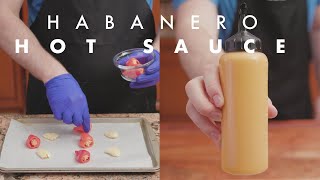 Habanero Hot Sauce Recipe [upl. by Piscatelli157]