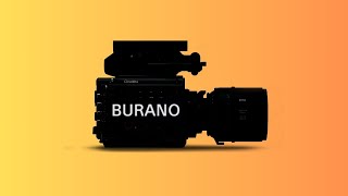 Sony Burano  Affordable Venice CineAlta Full Frame Netflix Camera [upl. by Aihsekin872]