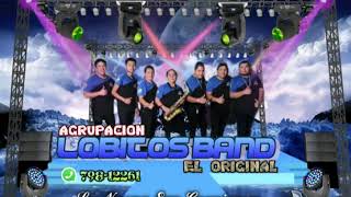 Mix NectarLobitos band el original [upl. by Aletha239]