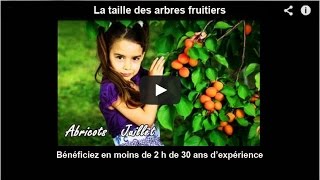 Verger La taille des arbres fruitiers bénéficiez en moins de 2 h de 30 ans dexpérience [upl. by Oihsoy]