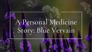 A Personal Medicine Story Blue Vervain [upl. by Ayanahs398]