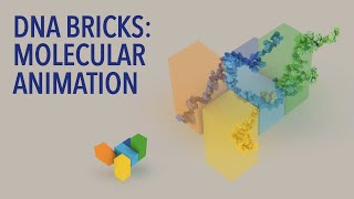 DNA Bricks Molecular Animation [upl. by Idham100]