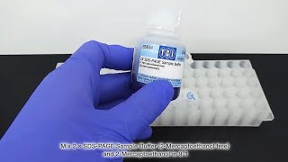 SDSPAGE Sample Preparation Protocol Using Reducing Reagent [upl. by Uok]