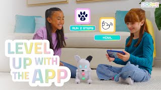 DogE’s PAWSOME App  DogE HowTo 4 The App [upl. by Nyra]