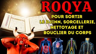 ROQYA POUR SORTIR LE DJINN SORCELLERIE NETTOYAGE ET BOUCLIER DU CORPSPROTECTION MAISON ET FAMILLE [upl. by Erdried]