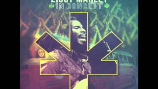 Ziggy Marley  quotTrue To Myselfquot  Ziggy Marley In Concert [upl. by Akeim]