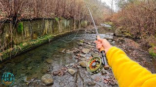 Fly Fishing 4 CRAZY Creeks in 1 Afternoon Trout Fishing [upl. by Yspyg]