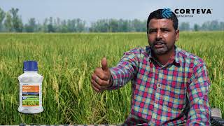 Pexalon  Corteva  Vikram Rana  Farmer Testimonial  Haryana  Hinid  Rice [upl. by Selmner]