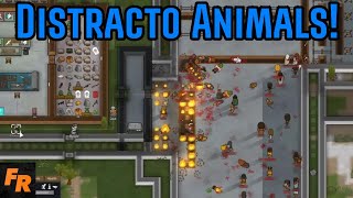 Distracto Animals And Building A Rocket  RimWorld Adventures Live [upl. by Adnolohs934]