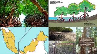 GEOGRAFI TINGKATAN 3 BAB 4 TUMBUHAN SEMULAJADI DI MALAYSIA [upl. by Hanzelin352]