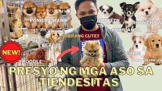 PET PRICE LIST SA TIENDESITAS PET VILLAGE JUNE 2021  SOBRANG CUTE MUST WATCH [upl. by Renado]