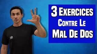 3 Exercices EFFICACES pour soulager le mal de dos [upl. by Len]