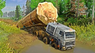 Extreme Wood Logging Transport Oversized Truck Operator Skills Worlds Largest Heavy Equipment 01 [upl. by Wons158]