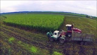 Уборка кукурузы на силос  Corn Silage [upl. by Briny]