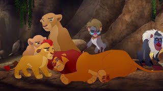 Lion Guard Good King Simba song  Simba is stung  The Scorpions Sting HD Clip [upl. by Eduardo]