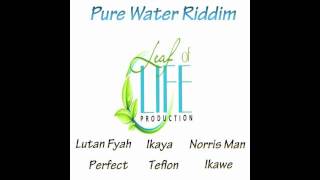 Norris Man  Wicked Wont Get Away  Pure Water Riddim  Leaf of Life Productions [upl. by Llerrad]