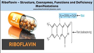 Riboflavin  Vitamin B2  Riboflavin Biochemistry  Vitamin B2 Biochemistry [upl. by Norvall930]