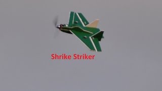 Shrike Striker [upl. by Gotthard814]