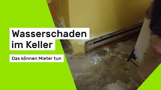 Wasserschaden und der Vermieter reagiert nicht Das können Sie tun [upl. by Wiener]