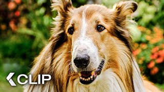 Lassie rettet die entführten Kinder  LASSIE Ein neues Abenteuer Clip amp Trailer German 2023 [upl. by Justine]