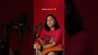 Hancock cover  Niveta Dhingra  Hindi songs for dog  love for dogs  doglover dogsofyoutube [upl. by Fishman]