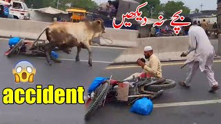 OMG Angry Bull  Very Dangerous Bull Qurbani 2023 [upl. by Leuqcar54]