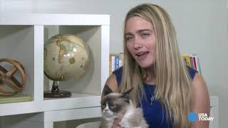 Remember the Time We Hung with Grumpy Cat Take a Look [upl. by Elinad758]