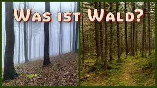 Was ist Wald Definition Nutzungsformen Waldformen [upl. by Aciria181]