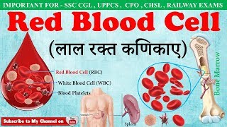 Red Blood Cellsलाल रक्त कणिकाए  RBC  Fuction of red blood cells in hindi  ssc campus mp4 [upl. by Qerat]