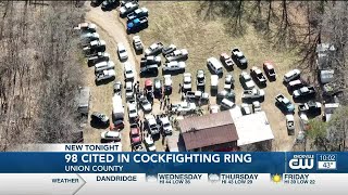 98 people cited in Union County cockfighting ring [upl. by Luna405]