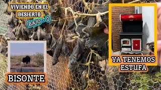 140 SE CONGELÓ EL HUERTO🥶YA COMPRAMOS E INSTALAMOS LA ESTUFA SE LEÑA🔥vlog campo [upl. by Kwei802]