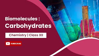 Carbohydrates  Biomolecules  Chemistry  Class 12 [upl. by Yziar210]