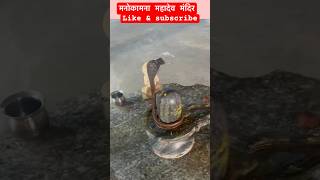 Har har mahadevom namah shivaymahadev darahansananad manandviralShorts Trendingviralvideo [upl. by Zetrom28]