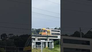 3 Waratahs At Casula Parklands Bridge train nswtrains publictransport railway nswtrainlink [upl. by Zetram701]