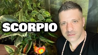 SCORPIO May 2022 ⭐️ WOW WHY IS EVERYTHING ABOUT TO CHANGE  Option  Scorpio Horoscope Tarot [upl. by Artina]